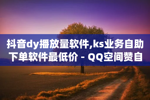 抖音dy播放量软件,ks业务自助下单软件最低价 - QQ空间赞自助下载 - KS低价真人双击-第1张图片-靖非智能科技传媒