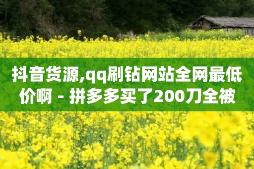 抖音货源,qq刷钻网站全网最低价啊 - 拼多多买了200刀全被吞了 - 拼多多600元积分后面是什么-第1张图片-靖非智能科技传媒