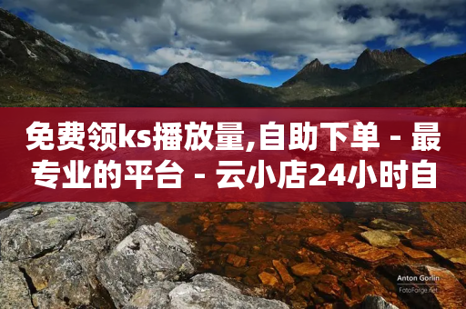 免费领ks播放量,自助下单 - 最专业的平台 - 云小店24小时自助下单 - 在线助力平台-第1张图片-靖非智能科技传媒