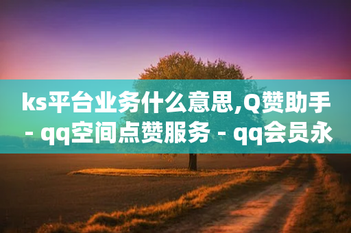 ks平台业务什么意思,Q赞助手 - qq空间点赞服务 - qq会员永久业务网站卡盟卡盟-第1张图片-靖非智能科技传媒