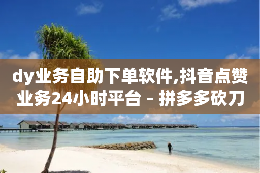 dy业务自助下单软件,抖音点赞业务24小时平台 - 拼多多砍刀软件代砍平台 - 拼多多镜鲤附体要抽多少-第1张图片-靖非智能科技传媒