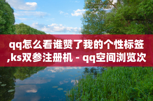 qq怎么看谁赞了我的个性标签,ks双参注册机 - qq空间浏览次数和访客 - 抖音24小时在线下单平台免费-第1张图片-靖非智能科技传媒