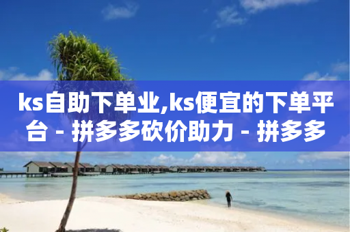 ks自助下单业,ks便宜的下单平台 - 拼多多砍价助力 - 拼多多链接怎么用-第1张图片-靖非智能科技传媒