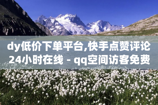 dy低价下单平台,快手点赞评论24小时在线 - qq空间访客免费领取网址 - 彩虹自动发卡网源码