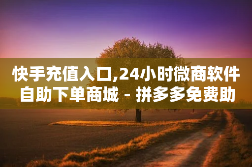 快手充值入口,24小时微商软件自助下单商城 - 拼多多免费助力工具无限制 - 海外版拼多多开店流程及费用多少-第1张图片-靖非智能科技传媒