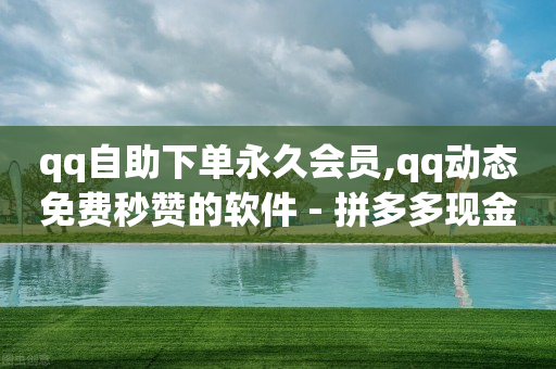 qq自助下单永久会员,qq动态免费秒赞的软件 - 拼多多现金助力群免费群 - 24小时自助下单云小店