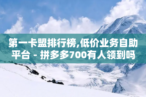 第一卡盟排行榜,低价业务自助平台 - 拼多多700有人领到吗 - 拼多多助力代码怎么用-第1张图片-靖非智能科技传媒