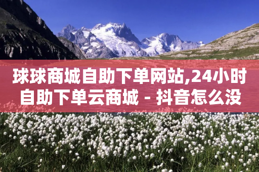 球球商城自助下单网站,24小时自助下单云商城 - 抖音怎么没有微信支付了 - 卡盟低价自助下单网易云