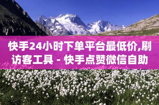 快手24小时下单平台最低价,刷访客工具 - 快手点赞微信自助 - qq主题链接大全免费网站