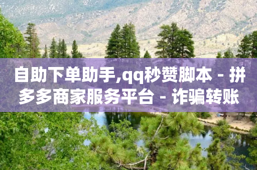 自助下单助手,qq秒赞脚本 - 拼多多商家服务平台 - 诈骗转账24小时可以撤回-第1张图片-靖非智能科技传媒