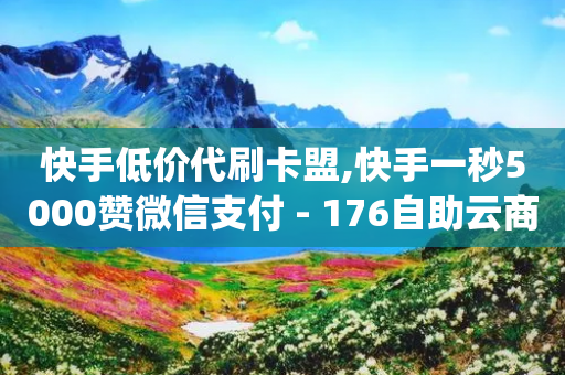 快手低价代刷卡盟,快手一秒5000赞微信支付 - 176自助云商城 - qq自助平台下单