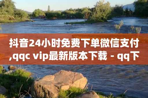 抖音24小时免费下单微信支付,qqc vip最新版本下载 - qq下单业务平台空间免费 - 自助下单全网