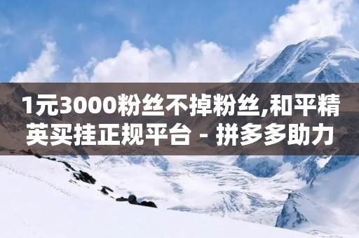 1元3000粉丝不掉粉丝,和平精英买挂正规平台 - 拼多多助力网站链接在哪 - 拼多多怎么看助力全部记录