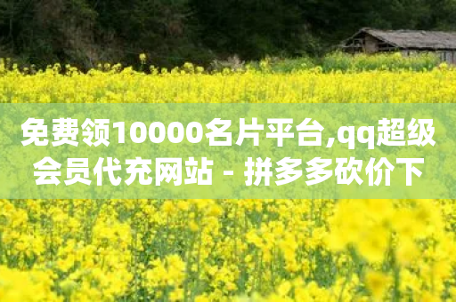 免费领10000名片平台,qq超级会员代充网站 - 拼多多砍价下单平台 - 拼多多助力解密-第1张图片-靖非智能科技传媒