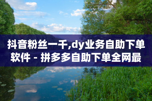 抖音粉丝一千,dy业务自助下单软件 - 拼多多自助下单全网最便宜 - 拼多多长期不回复扣10分