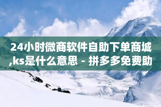 24小时微商软件自助下单商城,ks是什么意思 - 拼多多免费助力工具app - 拼多多助力24小时自助平台-第1张图片-靖非智能科技传媒