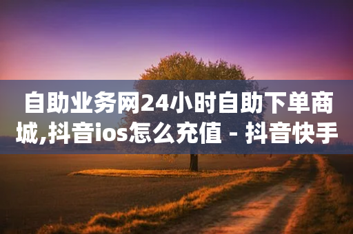 自助业务网24小时自助下单商城,抖音ios怎么充值 - 抖音快手闪现集合 - qqcvip十年沉淀官网最新版-第1张图片-靖非智能科技传媒