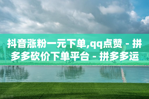 抖音涨粉一元下单,qq点赞 - 拼多多砍价下单平台 - 拼多多运营需要哪些软件-第1张图片-靖非智能科技传媒