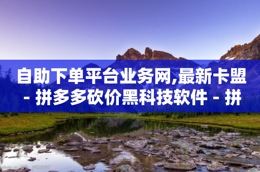 自助下单平台业务网,最新卡盟 - 拼多多砍价黑科技软件 - 拼刺刀-第1张图片-靖非智能科技传媒