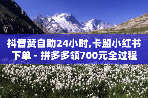 抖音赞自助24小时,卡盟小红书下单 - 拼多多领700元全过程 - 拼多多助力接单平台