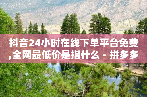 抖音24小时在线下单平台免费,全网最低价是指什么 - 拼多多业务助力平台 - 拼多多差0.01碎片需要多少人-第1张图片-靖非智能科技传媒