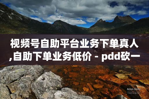 视频号自助平台业务下单真人,自助下单业务低价 - pdd砍一刀助力助力平台官网 - 拼多多爆款助手软件-第1张图片-靖非智能科技传媒