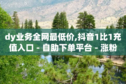 dy业务全网最低价,抖音1比1充值入口 - 自助下单平台 - 涨粉丝的方法和技巧-第1张图片-靖非智能科技传媒