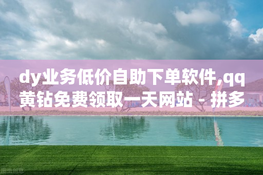 dy业务低价自助下单软件,qq黄钻免费领取一天网站 - 拼多多现金大转盘刷助力网站免费 - 下一单提现100元是真的吗-第1张图片-靖非智能科技传媒