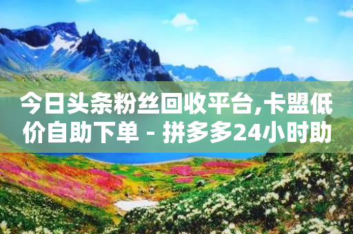 今日头条粉丝回收平台,卡盟低价自助下单 - 拼多多24小时助力网站 - 拼多多大转盘到元宝之后是啥