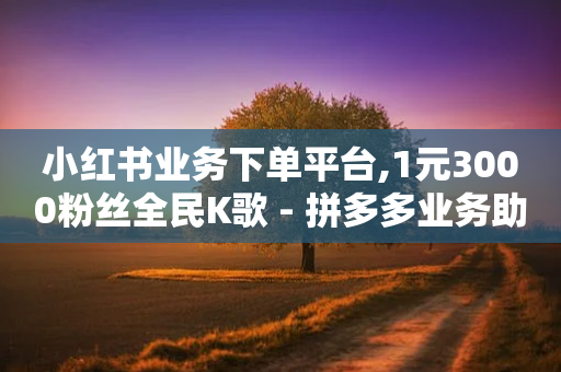 小红书业务下单平台,1元3000粉丝全民K歌 - 拼多多业务助力平台 - 魔盟网拼多多助力-第1张图片-靖非智能科技传媒