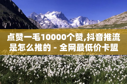 点赞一毛10000个赞,抖音推流是怎么推的 - 全网最低价卡盟代刷 - QQ名片自动赞软件苹果版-第1张图片-靖非智能科技传媒