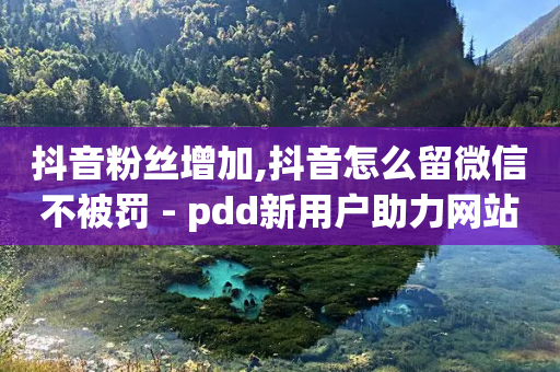 抖音粉丝增加,抖音怎么留微信不被罚 - pdd新用户助力网站 - 拼多多助力最后福卡怎么弄-第1张图片-靖非智能科技传媒