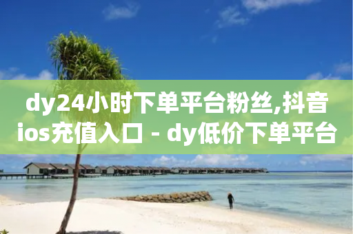 dy24小时下单平台粉丝,抖音ios充值入口 - dy低价下单平台 - 帝王卡盟-第1张图片-靖非智能科技传媒