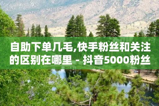 自助下单几毛,快手粉丝和关注的区别在哪里 - 抖音5000粉丝账号价格是多少 - QQ空间浏览人数1浏览次数2-第1张图片-靖非智能科技传媒