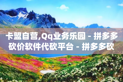 卡盟自营,Qq业务乐园 - 拼多多砍价软件代砍平台 - 拼多多砍价免费拿怎么没有了-第1张图片-靖非智能科技传媒