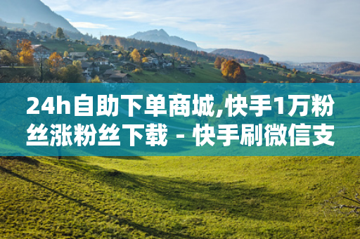 24h自助下单商城,快手1万粉丝涨粉丝下载 - 快手刷微信支付24小时 - KS低价真人双击