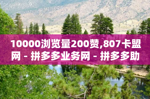 10000浏览量200赞,807卡盟网 - 拼多多业务网 - 拼多多助力最后出现锦鲤附体