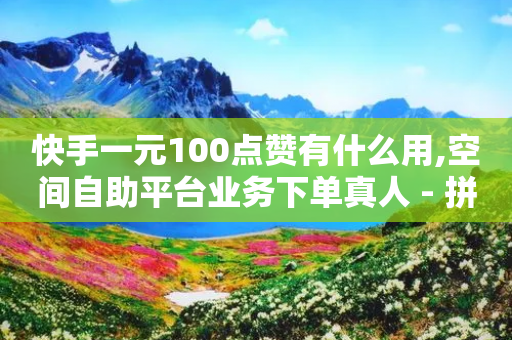 快手一元100点赞有什么用,空间自助平台业务下单真人 - 拼多多业务平台自助下单 - 1元10刀-第1张图片-靖非智能科技传媒