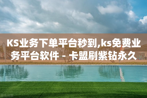 KS业务下单平台秒到,ks免费业务平台软件 - 卡盟刷紫钻永久 - 免费领取qq黄钻自助网