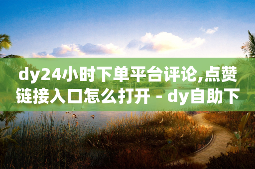 dy24小时下单平台评论,点赞链接入口怎么打开 - dy自助下单全网最低 - qq点赞数怎么增加免费-第1张图片-靖非智能科技传媒