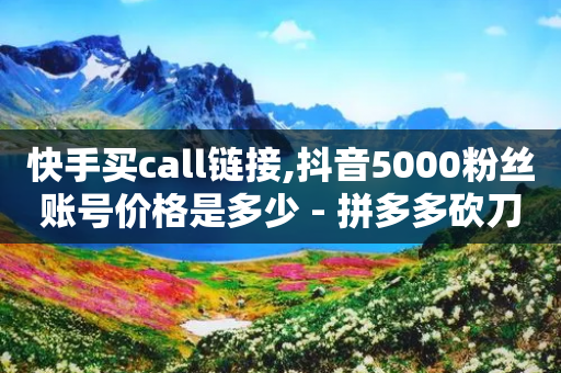 快手买call链接,抖音5000粉丝账号价格是多少 - 拼多多砍刀软件代砍平台 - 拼多多拼单提现50现金技巧-第1张图片-靖非智能科技传媒