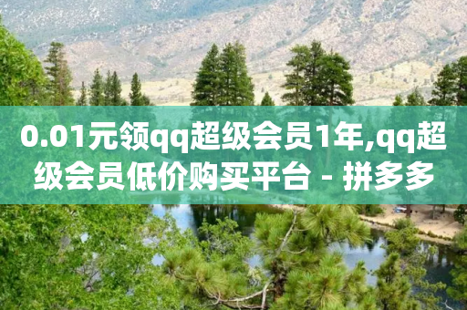 0.01元领qq超级会员1年,qq超级会员低价购买平台 - 拼多多助力软件 - 拼多多大转盘申请赔偿