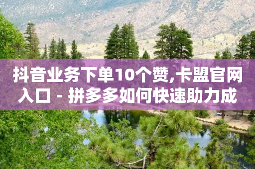 抖音业务下单10个赞,卡盟官网入口 - 拼多多如何快速助力成功 - 拼多多可以和商家砍价吗-第1张图片-靖非智能科技传媒