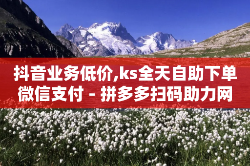 抖音业务低价,ks全天自助下单微信支付 - 拼多多扫码助力网站 - 社交电商十大平台-第1张图片-靖非智能科技传媒