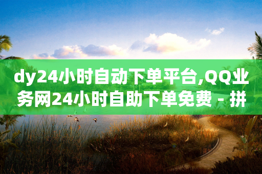 dy24小时自动下单平台,QQ业务网24小时自助下单免费 - 拼多多现金大转盘助力50元 - 拼多多免费助力网站一元