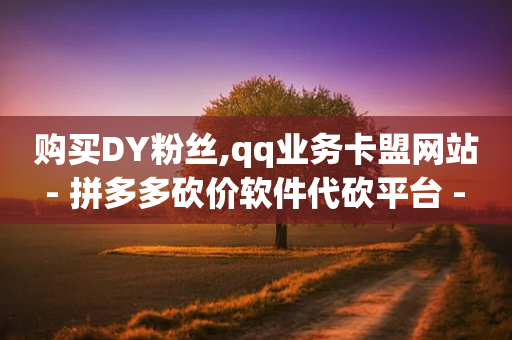 购买DY粉丝,qq业务卡盟网站 - 拼多多砍价软件代砍平台 - 拼多多免5单活动入口-第1张图片-靖非智能科技传媒