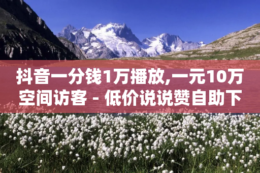 抖音一分钱1万播放,一元10万空间访客 - 低价说说赞自助下单 - 王者荣耀代理充值渠道