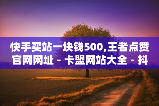 快手买站一块钱500,王者点赞官网网址 - 卡盟网站大全 - 抖音增加账号-第1张图片-靖非智能科技传媒