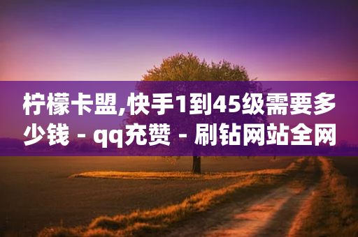 柠檬卡盟,快手1到45级需要多少钱 - qq充赞 - 刷钻网站全网最低价啊