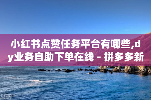 小红书点赞任务平台有哪些,dy业务自助下单在线 - 拼多多新人助力网站免费 - 拼多多助力在哪里打开的